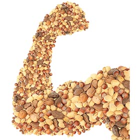 Arm of Nuts